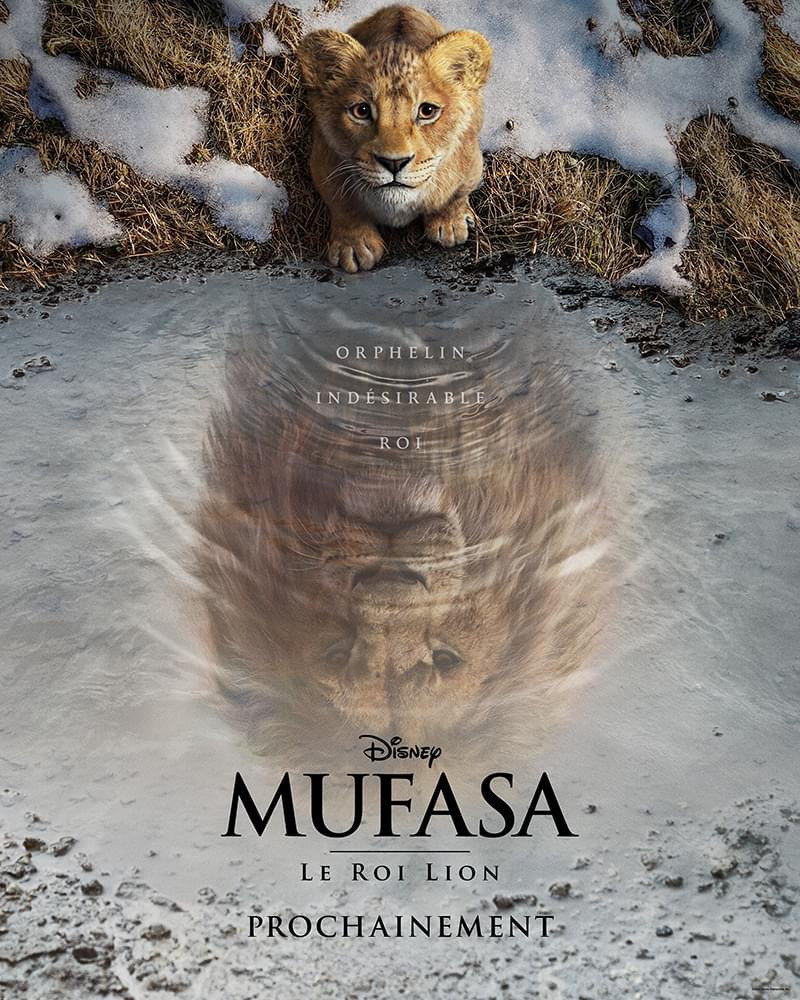 Affiche de Mufasa : Le Roi Lion