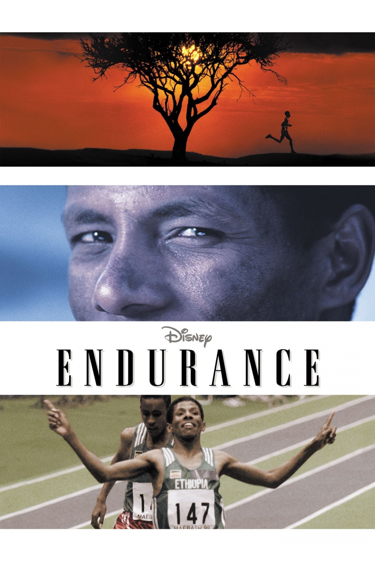 Affiche de Endurance