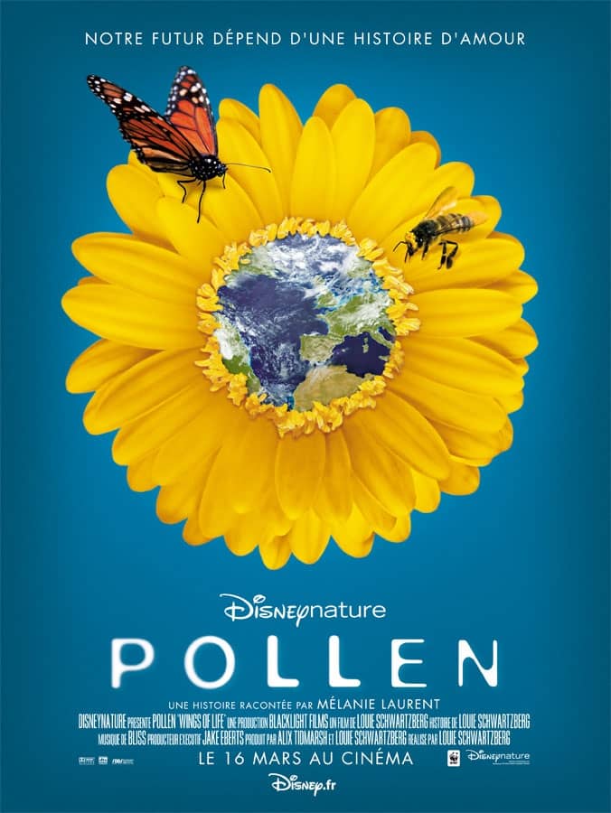 L'affiche de Pollen