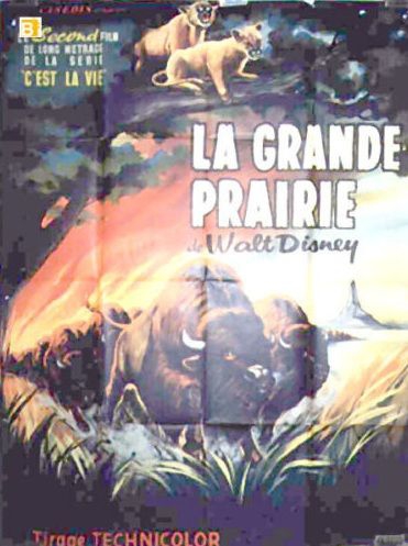 L'affiche de La Grande Prairie