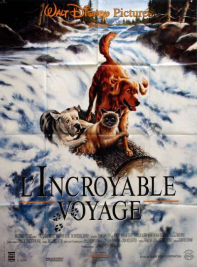 L'affiche de L'Incroyable Voyage