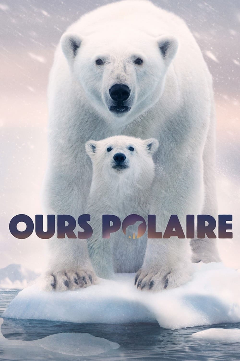 Affiche de Ours polaire