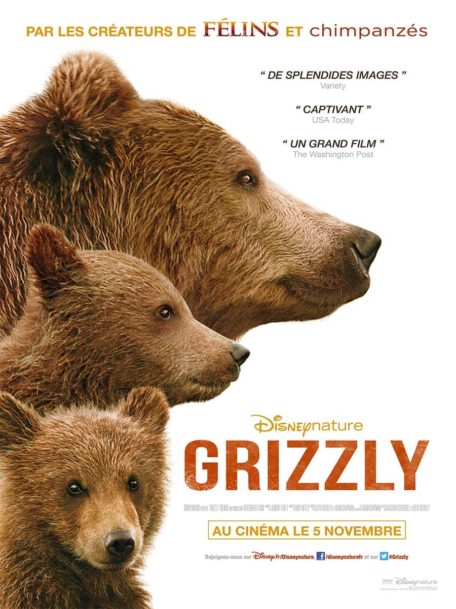 L'affiche de Grizzly
