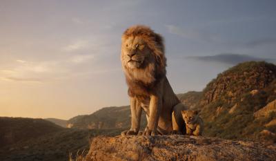 Illustration de Le Roi Lion