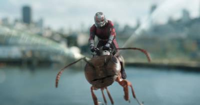 Illustration de Ant-Man et la Guêpe